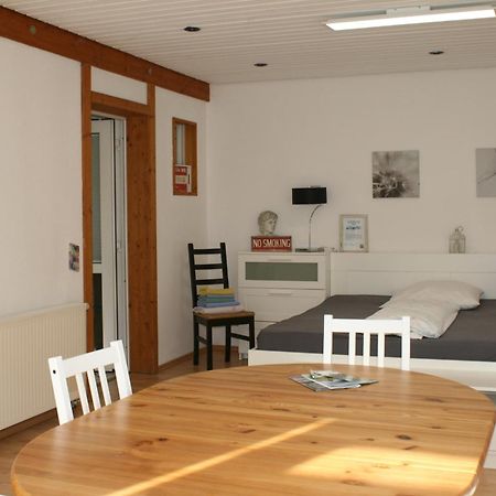 Gemütliches großzügiges Apartment Höhr-Grenzhausen Exterior foto