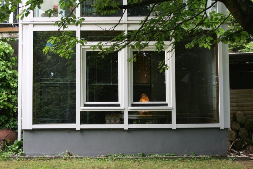 Gemütliches großzügiges Apartment Höhr-Grenzhausen Exterior foto